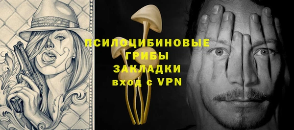 дживик Алексеевка