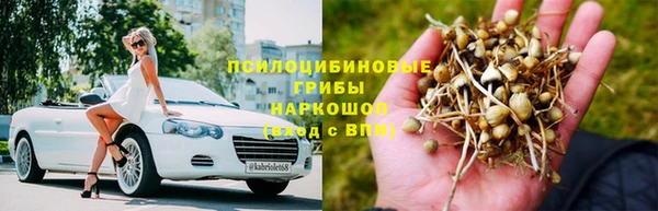дживик Алексеевка